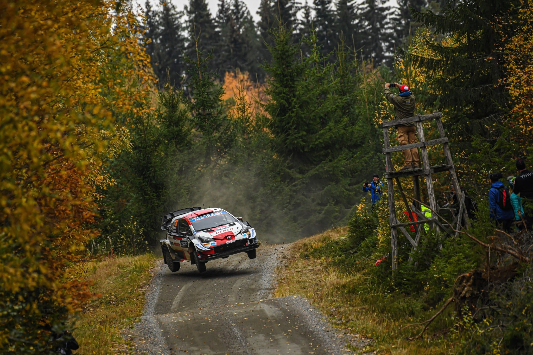WRC Rally